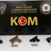 Bodrum’da Denetimde 4 Ruhsatsız Tabanca Ele Geçirildi