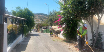 Bodrum’da Ot Temizliği Çalışmaları Sürüyor