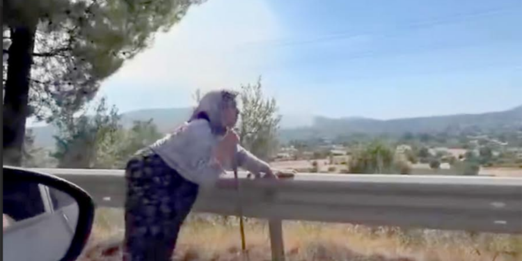 Fethiye’de Yol Kenarındaki Teyze Sosyal Medyayı Salladı: “Buralar Yanmasın Diye…”