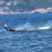 Marmaris’te demirli yelkenli tekne alevlere teslim oldu