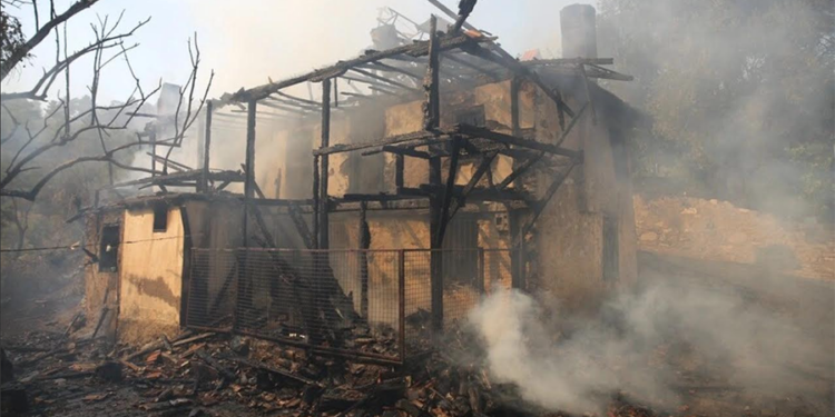 Yangın Hasarında En Büyük Darbeyi Muğla Aldı