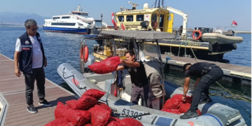 YASA DIŞI AVCILIKTA YARIM TONLUK VURGUN! 560 KİLO MİDYEYE EL KONULDU