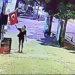 Muğla’da Türk Bayrağı’na Saldıran Kadın Yakalandı