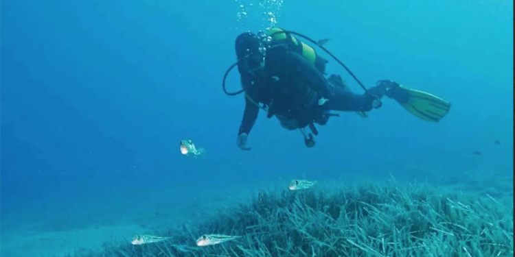 Türkiye’nin ilk Deniz Milli Parkı Fethiye-Kaş ve Kuzey Ege sınırlarında