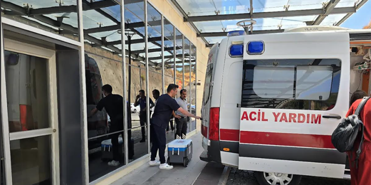 Bodrum Devlet Hastanesi’nde organ bağışı: Birçok hastaya umut oldu