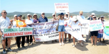 Tuzla’daki flamingo cennetindeki yüzlerce ton dolguya sert tepki, balıklar ölmeye başladı