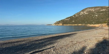 RANT KABUSU BU KEZ MURDALA KOYUNDA