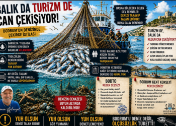 Osman Arkangil, yazdı: BODRUM’UN BALIĞINI KİM YEDİ?