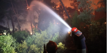 MUĞLA’DA BAŞLADI, ANTALYA’YA SIÇRADI!