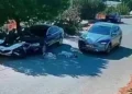 Bodrum’da Köpekleri Ezerek Yoluna Devam Etmişti: Sürücünün Kimliği Belirlendi!