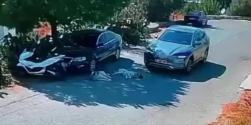 Bodrum’da Köpekleri Ezerek Yoluna Devam Etmişti: Sürücünün Kimliği Belirlendi!