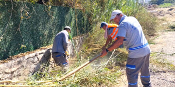 Bodrum’da Ot Temizliği Çalışmaları Sürüyor