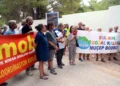DEMİR ORMANLARINDA AMANRÜYA RE-PİE EYLEMİ…