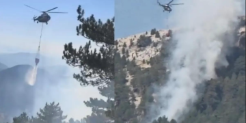 Fethiye’de orman yangını
