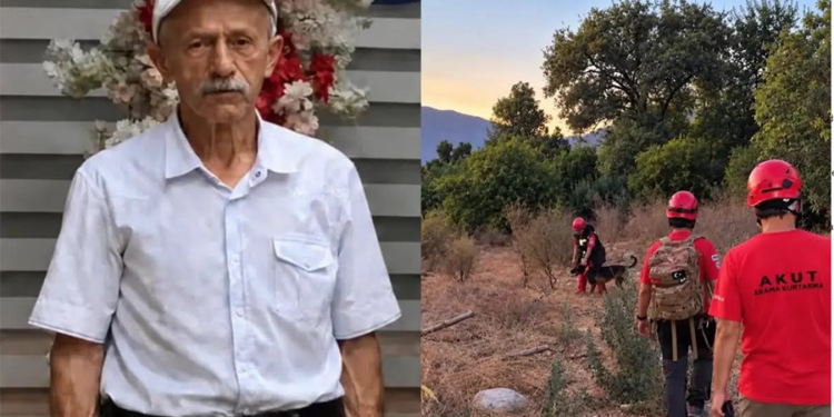 Muğla’da kaybolan yaşlı adamı arama çalışmaları sürüyor
