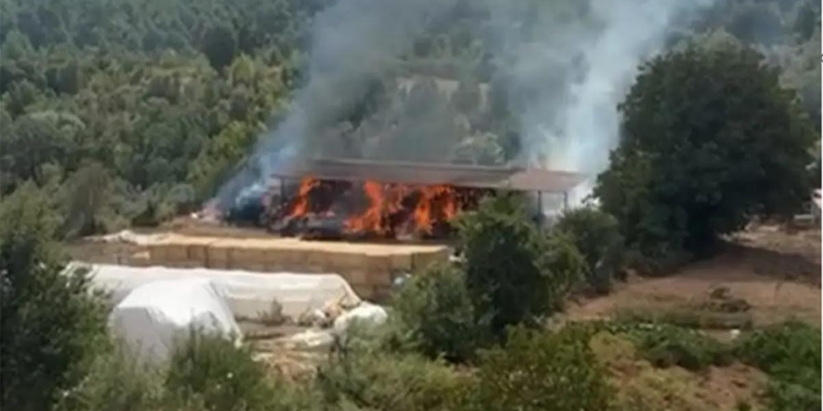 Muğla Menteşe’de ahır alevlere teslim oldu!