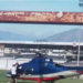 Helikopterler tarlaya, stada iniyor! İnceleme başlatıldı