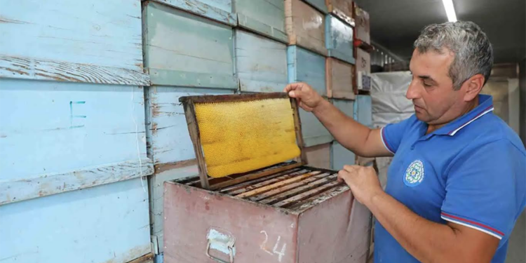 ‘Temiz Petek’ projesi yöre arıcılarının maliyetini düşürdü