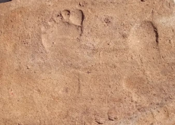 Stratonikeia Antik Kenti’nde bin 900 yıllık çocuk izleri bulundu