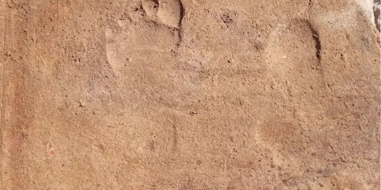 Stratonikeia Antik Kenti’nde bin 900 yıllık çocuk izleri bulundu
