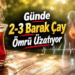 Bilim İnsanları Açıkladı: Günde 2-3 Bardak Çay İçmek Ömrü Uzatıyor mu?