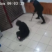 Cani kocanın tutukluluğunun devamına karar verildi!