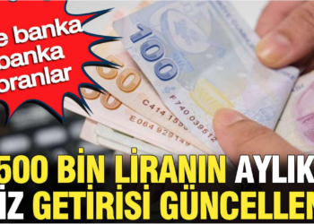 Bankaların Mevduat Faiz Oranları Güncellendi: 500 Bin TL’nin Kazancı Belli Oldu