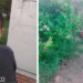 Menteşe’de Alacak Verecek Kavgası! Hastaneden Acı Haber: 1 Ölü
