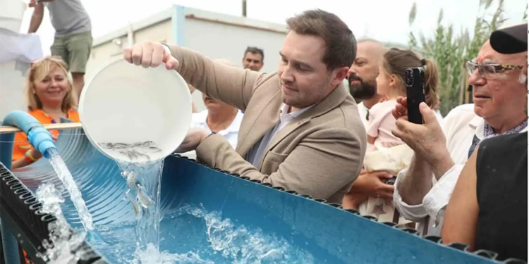 Bodrum’da balık festivali için geri sayım başladı