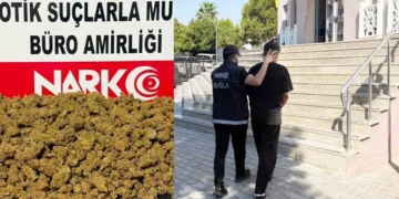 Muğla’da uyuşturucu operasyonları: 310 gözaltı, 48 tutuklama