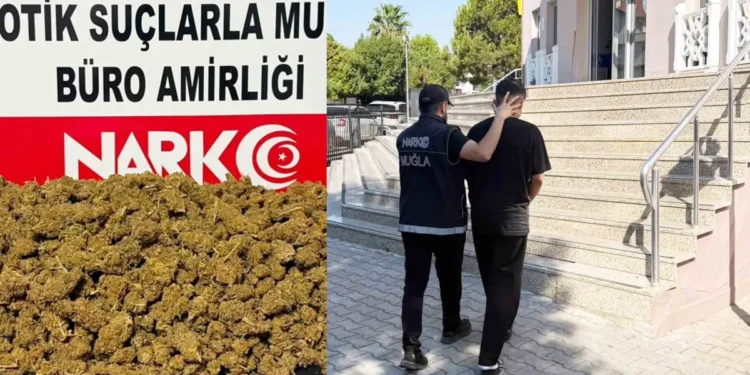 Muğla’da uyuşturucu operasyonları: 310 gözaltı, 48 tutuklama