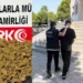 Muğla’da uyuşturucu operasyonları: 310 gözaltı, 48 tutuklama