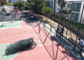 Bodrum’un Parkları Yenileniyor