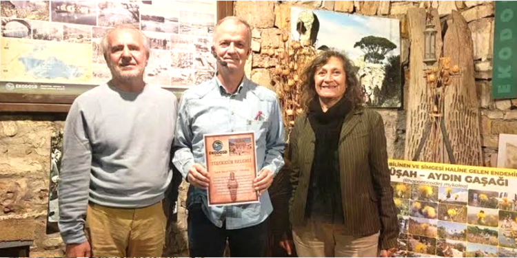 UNESCO DÜNYA MİRASI EFES’TE BÜYÜK YIKIM