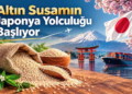 Altın susamın Japonya yolculuğu başlıyor
