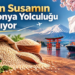 Altın susamın Japonya yolculuğu başlıyor