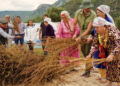 Gökova Susamı Hasat Festivali’nde ilk gün renkli görüntülere sahne oldu