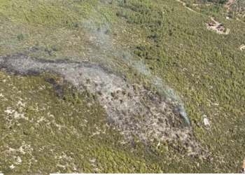 Bodrum’da orman yangını paniği: Alevler kontrol altına alındı