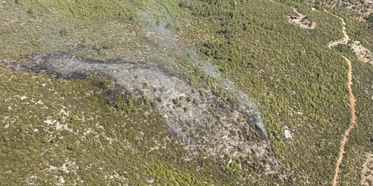 Bodrum’da orman yangını paniği: Alevler kontrol altına alındı
