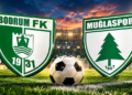 Milli ara sona eriyor!