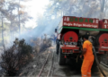 YANGINLARDAN DERS ALMADILAR.MAZI’DA ORMAN YANGINI PANİĞİ