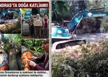 Sandras Ormanlarında İş Makinesi İle Doğa Katliamı