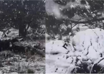 Muğla’ya sezonun ilk karı yağdı
