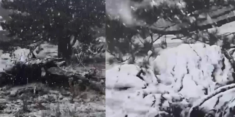 Muğla’ya sezonun ilk karı yağdı