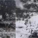 Muğla’ya sezonun ilk karı yağdı