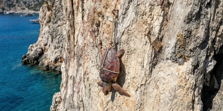 Natura 2000 Koruma Ağı altında olan adada vahşet