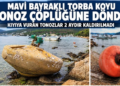 Torba Koyu sahilinde kıyıya vuran eski tonozlar ve şamandıralar.