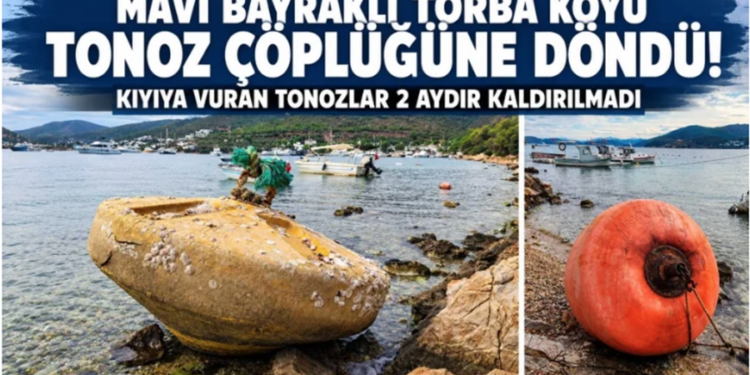 Torba Koyu sahilinde kıyıya vuran eski tonozlar ve şamandıralar.