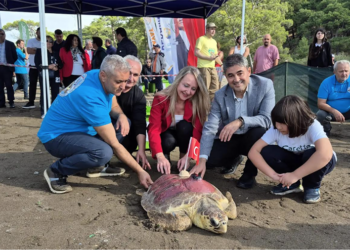 COP31, YEKAV ve arkadaşları mavi sulara kulaç attı