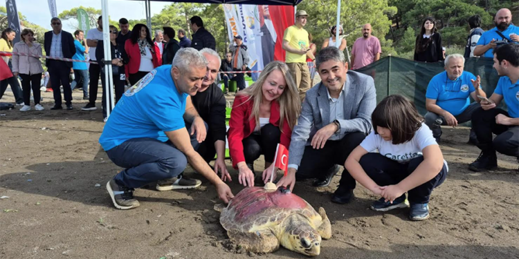 COP31, YEKAV ve arkadaşları mavi sulara kulaç attı